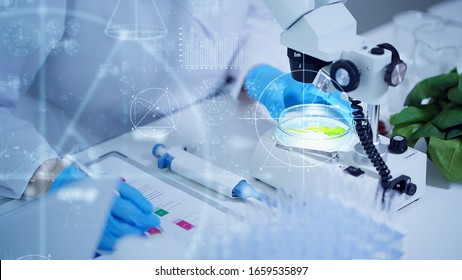 Biotechnology concept. Food tech. Nutritional science. - Shutterstock ID 1659535897