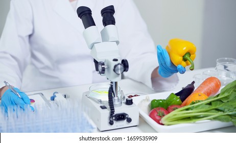 Biotechnology Concept. Food Tech. Nutritional Science.