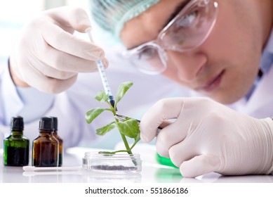 Biotechnology Concept With Scientist In Lab