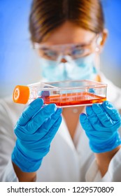 Biotechnology Engineer Inspecting Cell Culture Flask