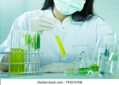 Biotechnology scientist working in the lab,green herbal medicine research discovery vaccine at science lab,Plant sciences in lab
