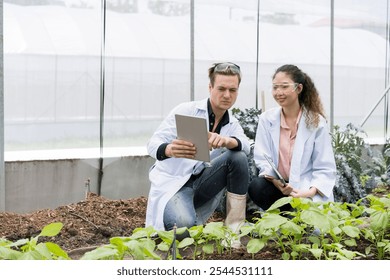 Biotechnology scientists development on the cultivation of organic vegetables in a farm. Biotechnology scientists using tablet. - Powered by Shutterstock