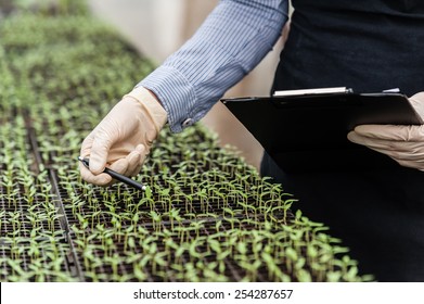 Biotechnology woman engineer with a clipboard and pen examining a plant leaf for disease! - Powered by Shutterstock