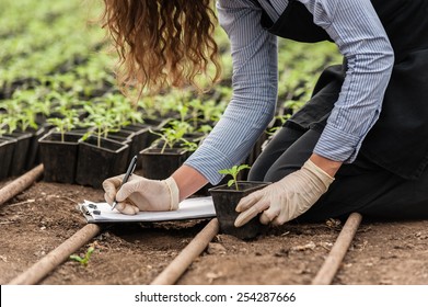 Biotechnology woman engineer with a clipboard and pen examining a plant  for disease! - Powered by Shutterstock