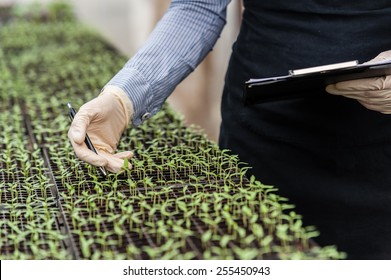 Biotechnology Woman Engineer With A Clipboard And Pen Examining A Plant Leaf For Disease!