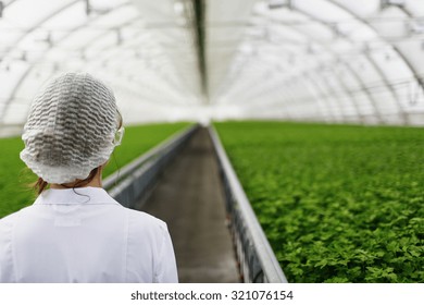 Biotechnology woman engineer examining plant leaf for disease - Powered by Shutterstock