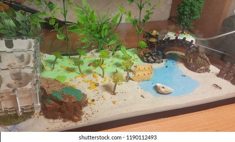Biotope Or Ant Farm - Formica