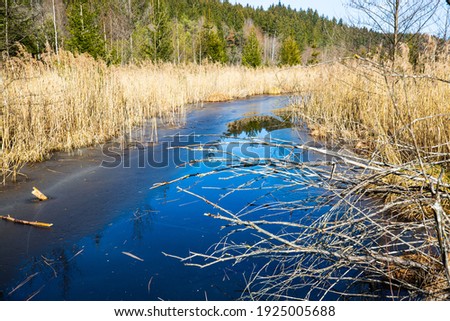 Biotope at the Deininger Weiher, Bad Tölz, Bavaria