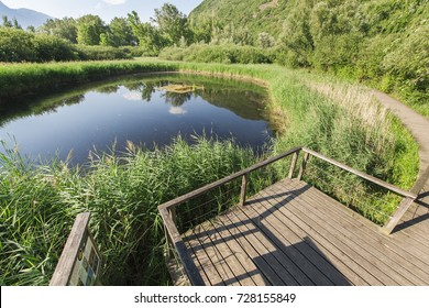 Biotope At Lake Caldaro