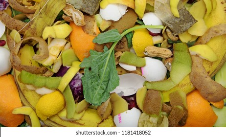 Biowaste for composting