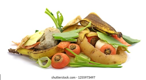 Biowaste for composting, isolated, white background