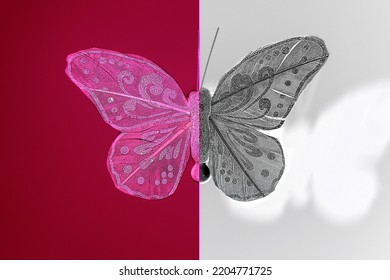 Bipolar Mental Disorder Concept, Batterfly Of Two Colors Symbolized Mania And Depression Phase