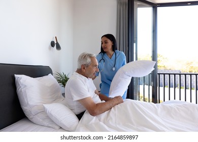 Biracial female physiotherapist adjusting pillows for caucasian senior man lying on bed at home. Copy space, unaltered, sickness, healthcare, patient, pill, treatment, retirement, recovery concept. - Powered by Shutterstock