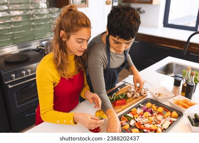 Biracial lesbian couple cooking, arranging vegetables on baking tray in kitchen. Cooking, food, gay, relationship, togetherness, domestic life and healthy lifestyle, unaltered. - Powered by Shutterstock