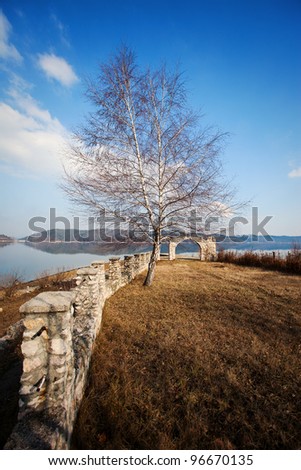 birch