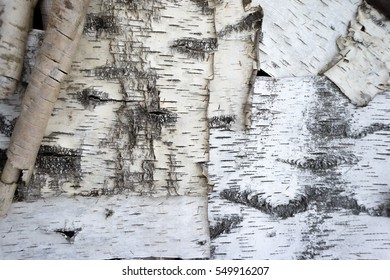 birch bark texture