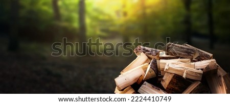 Birch firewood chopped with an axe. Messy wood pile, close-up. on blurred forest background- Wide banner.