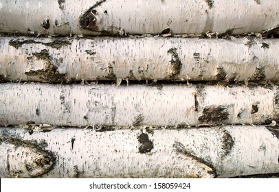 Birch Log Hut Wood Background