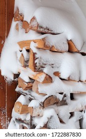 Birch Logs Were Covered With Snow. Spring Snowstorm.