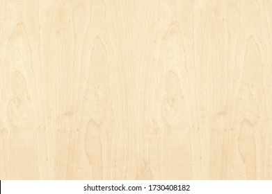 Birch Playwood Wood Panel Texture