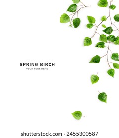 Birch tree branch with fresh green leaves frame border. Creative layout. Young spring sprout of birch isolated on white background. Top view, flat lay. Design element