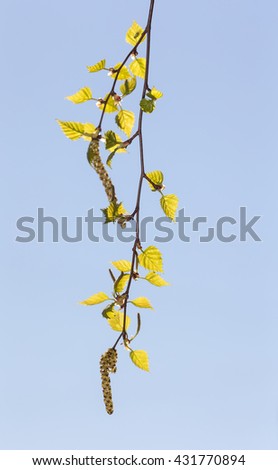 Similar – Foto Bild Carport Deko Leben Sonne