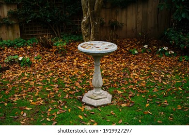 A Bird Bath In The Middle Of A Green Lawn Garden With Autumn Leaves All Around It