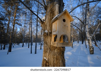 Bird birdhouse on tree in winter public park