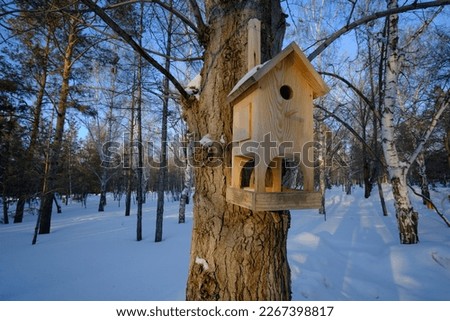 Bird birdhouse on tree in winter public park