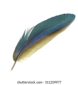 33,954 Rainbow feather Images, Stock Photos & Vectors | Shutterstock