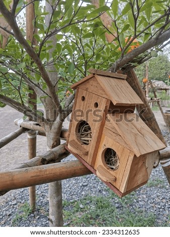 bird box  bird house on tree