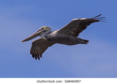 70 Salton Sea Beach Marina Images, Stock Photos & Vectors | Shutterstock