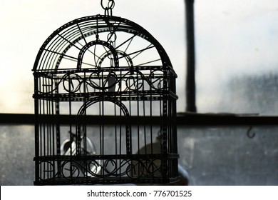 11,575 Empty cage Stock Photos, Images & Photography | Shutterstock