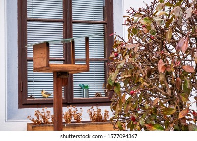 Bird Cage Feeder In An Autumn Day