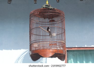 Bird Cage And Bird Inside 