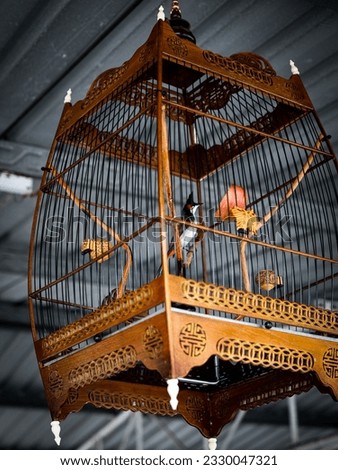  bird cage with a bird at bird singing competition
