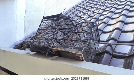 Bird Cage That Is No Longer Used Because It Is Broken