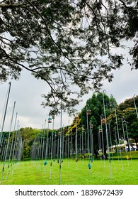 Bird Caging Along Bedok Reservoir Park