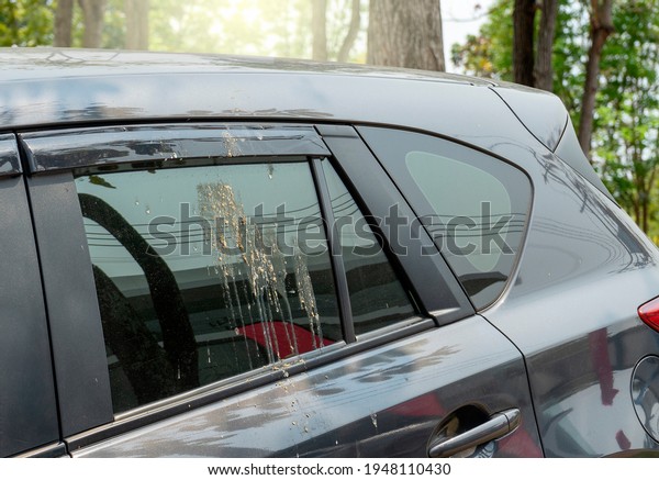 Bird droppings in the car. Car Detailing, Clean Bird\
Poop Off Car