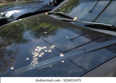 52,953 Bird droppings Images, Stock Photos & Vectors | Shutterstock