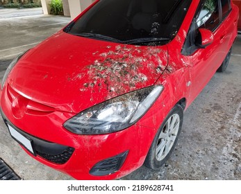 A Bird Droppings On The Car

 Red