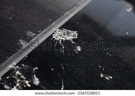Bird droppings on the windshield makes it dirty and difficult to wash off.
