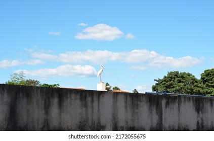 
Bird. Egret or heron in white color on a masonry pedestal with shower below, exotic Brazilian bird, in the background cloudy sky in panoramic photo, copy space