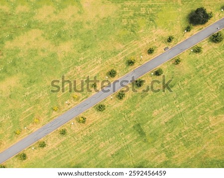 A bird eye view of a path in a park in Melbourne.