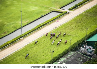 Bird Eyes View Horse Racing