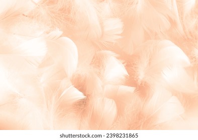 Bird feathers background toned in trending color of the year 2024 peach fuzz, tenderness and softness concept, selective focus	
