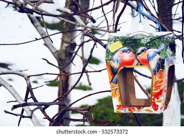 bird feeder