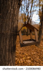 Bird Feeder. Autumn Park. Ukraine