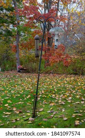 Bird Feeder In Autumn Yard