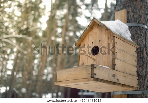 Bird Feeder Birdhouse On Pine Tree Stock Photo Edit Now 1046461012